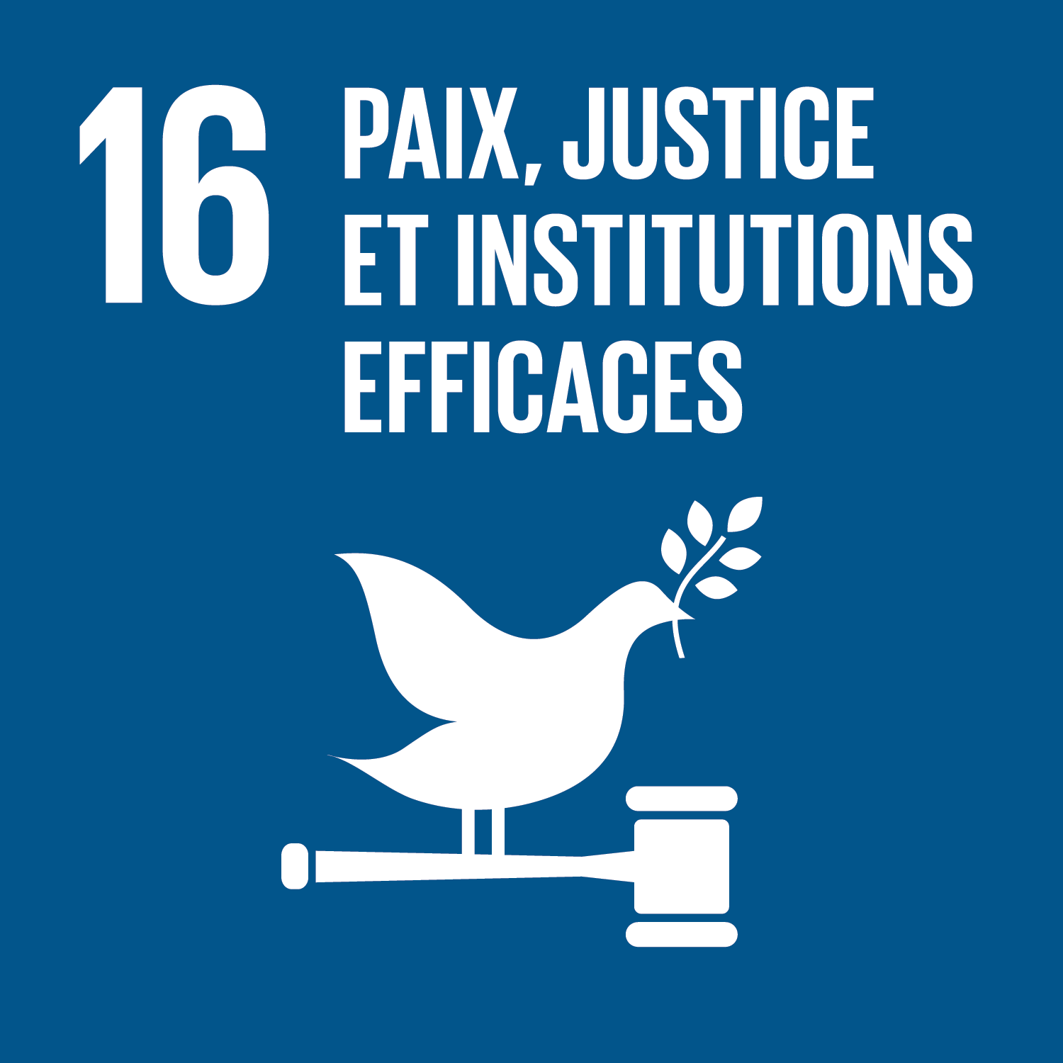 ODD 16 : Paix, justice et institutions efficaces